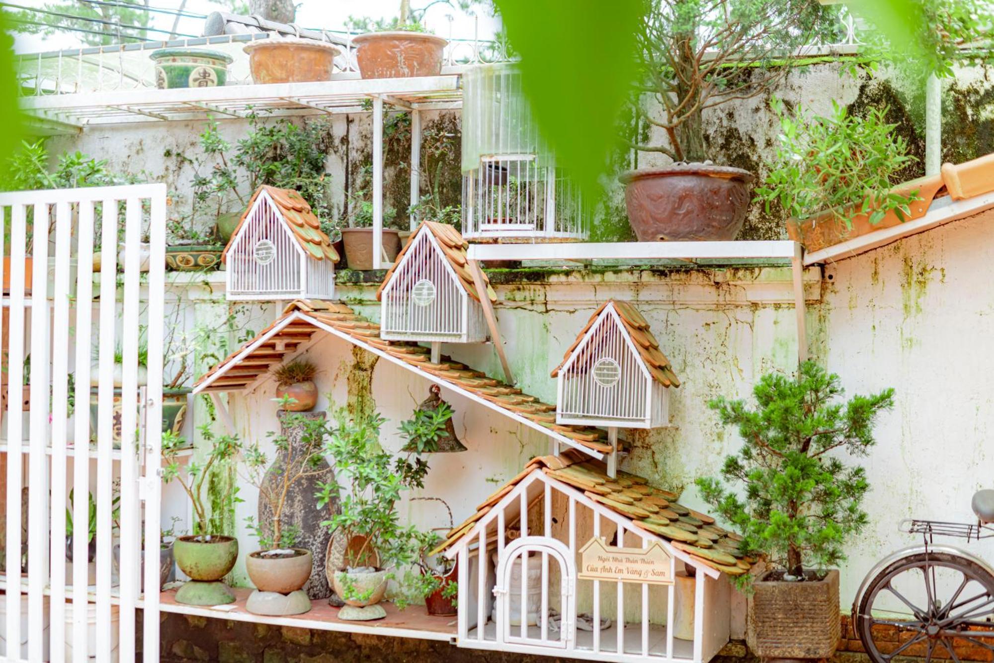 Villa Nho Xinh Khu Chi Lăng Exterior foto